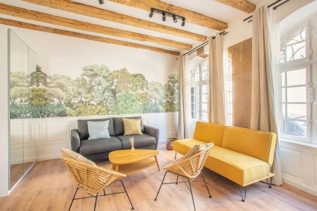 Apartamento La Halte Strasbourgeoise - Superbe Appt Pres De La Petite France Exterior foto